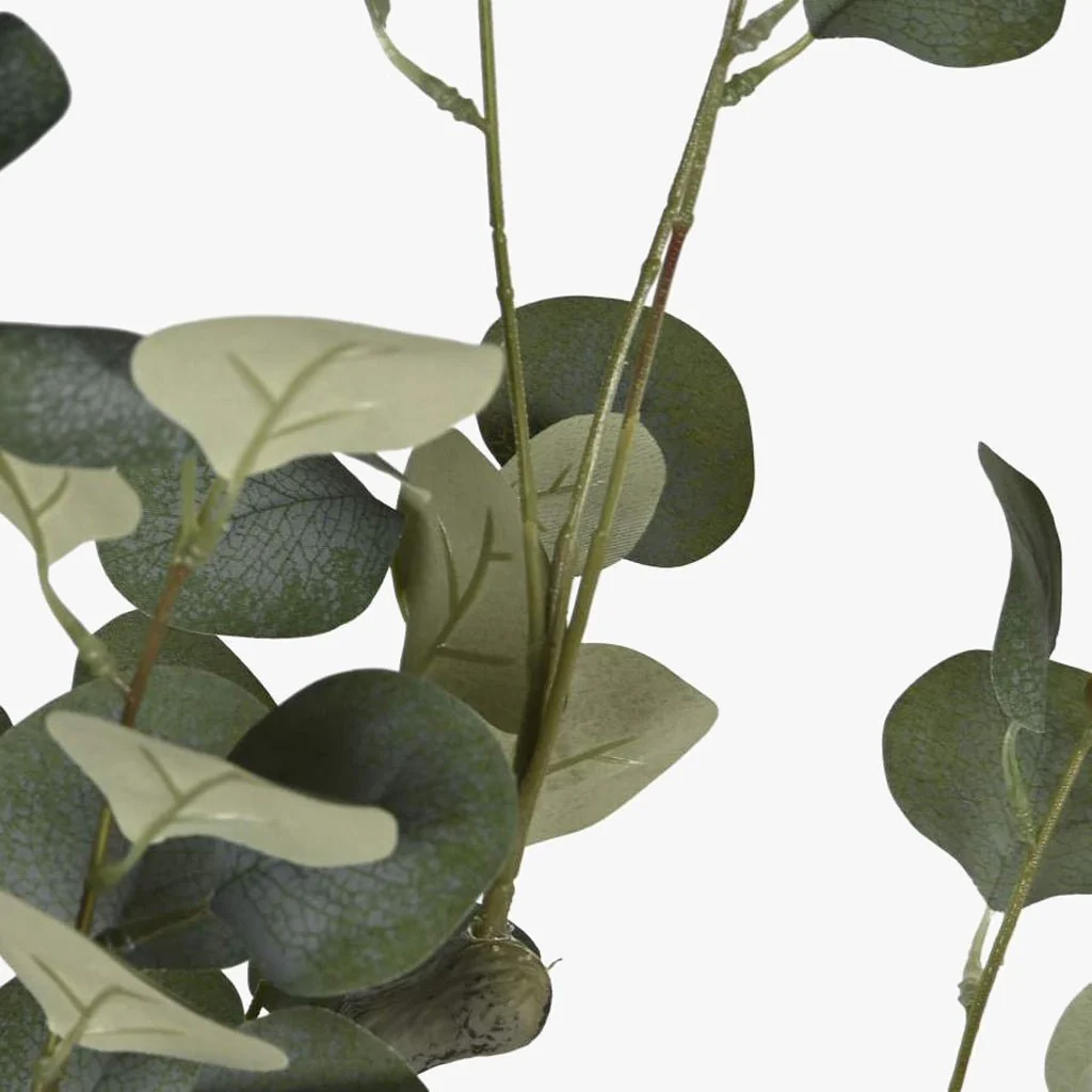 Planta de Eucalipto 220cm EVERLEAF