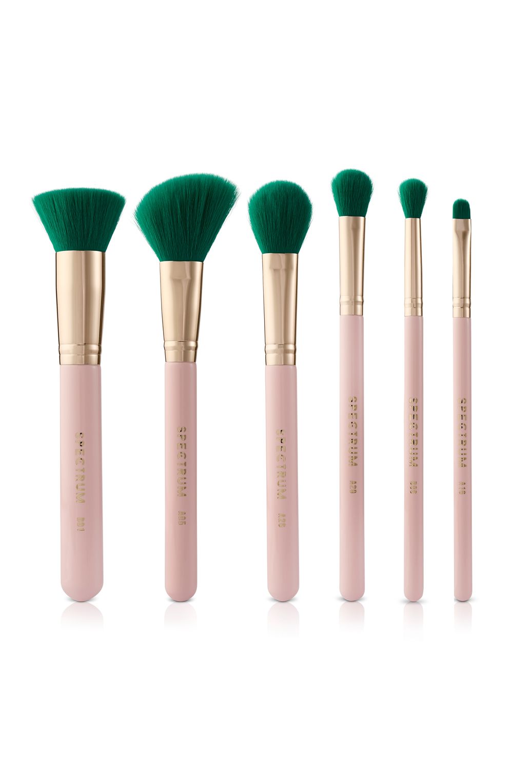 Spectrum Beverly Hills 6 Piece Brush Set