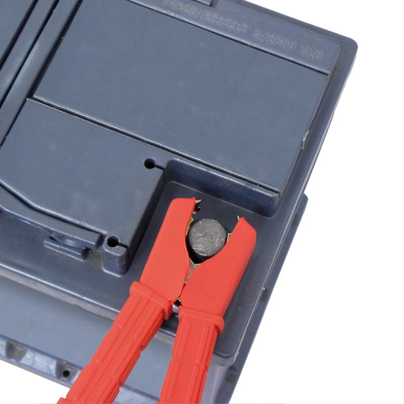 Pince de batterie 100 A 2 pièces CARPOINT