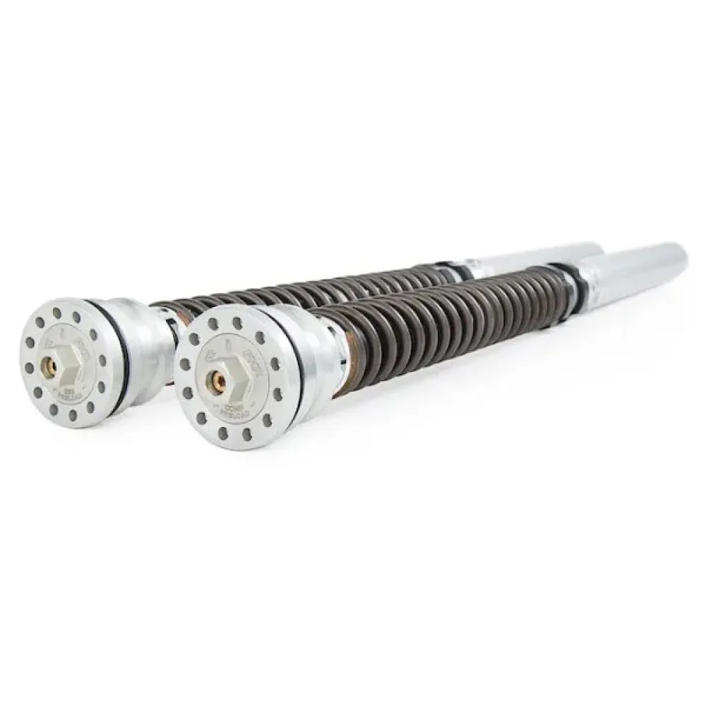 Öhlins Kawasaki Zx-10 R 1000 17-19/Zx-10 R 1000 Abs 16-25 cartridge kit