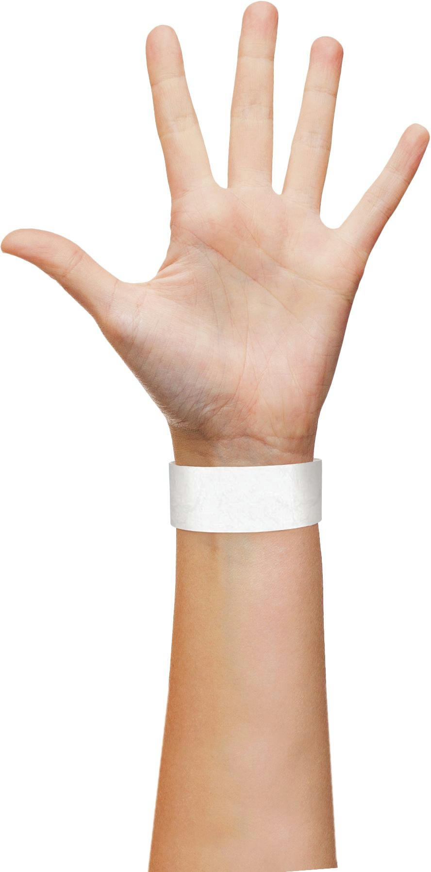 Solid White Wristbands, 500-pk