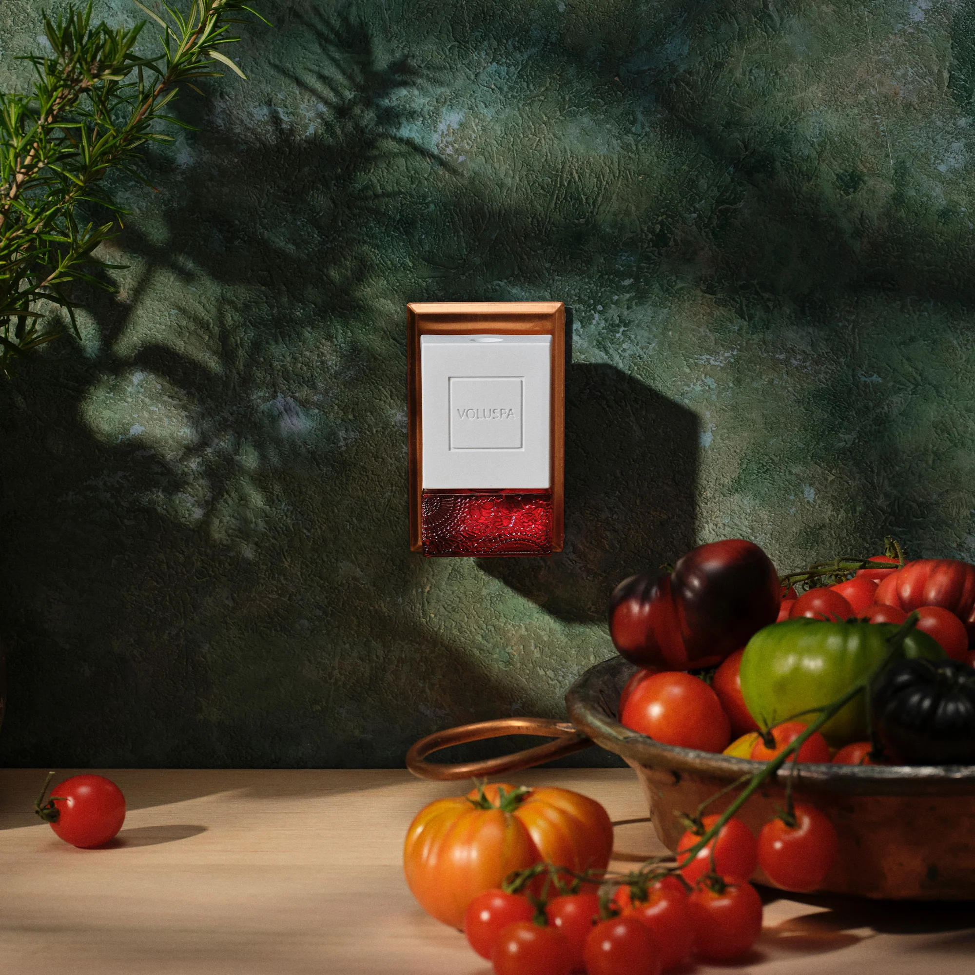 Tomato Trellis - Wall Plug-In Starter Kit + Twin Refills Bundle