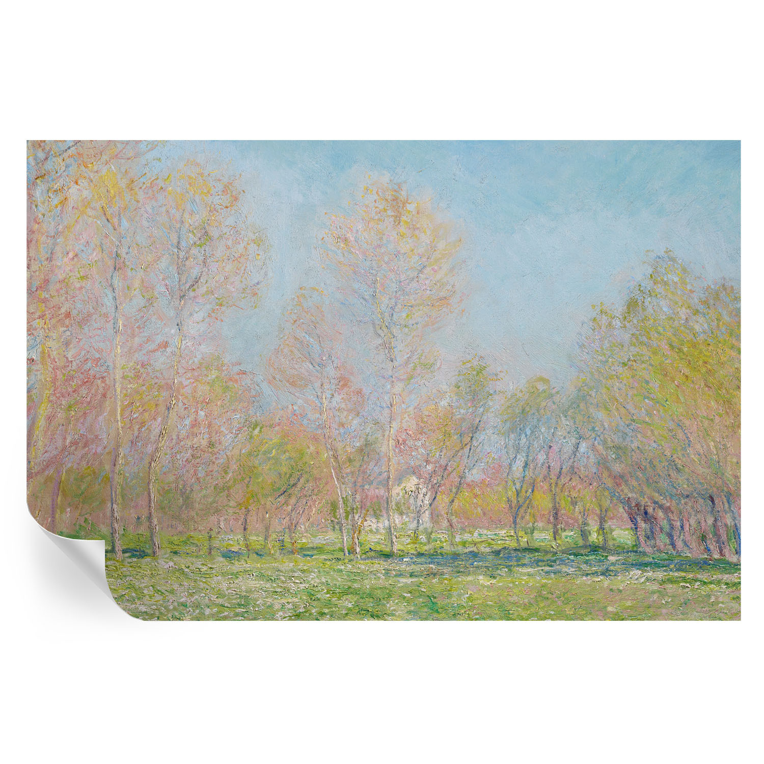 Samoprzylepna tapeta Wiosenny park 104x70 Wallfluent