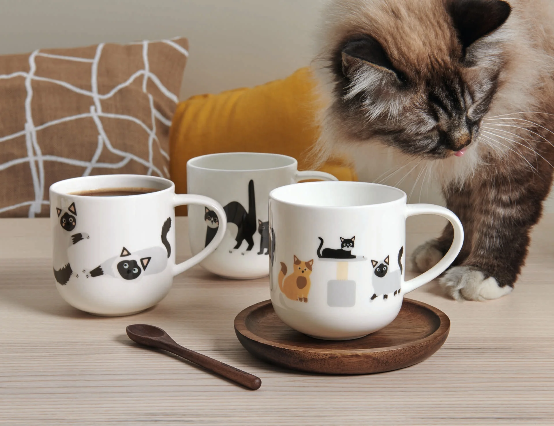 henkelbecher, cats