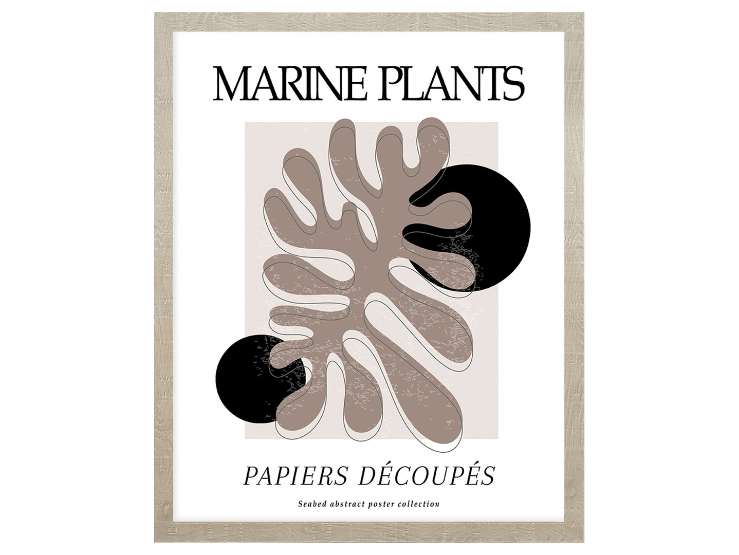 Obraz w ramie Marine Pastel Plants 43x53 cm