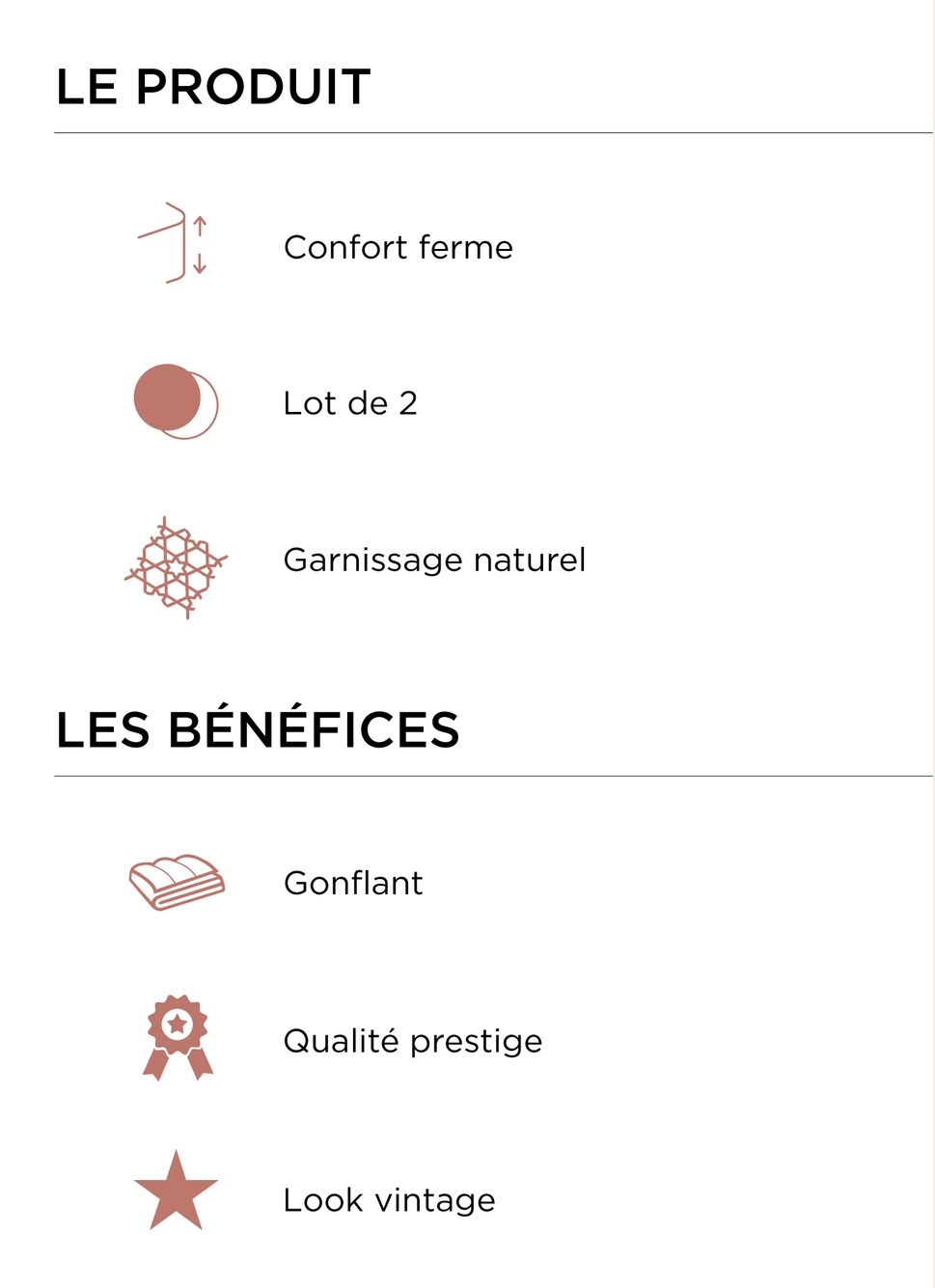 LOT DE 2 OREILLERS CARRÉS EN PLUMETTES BLANC