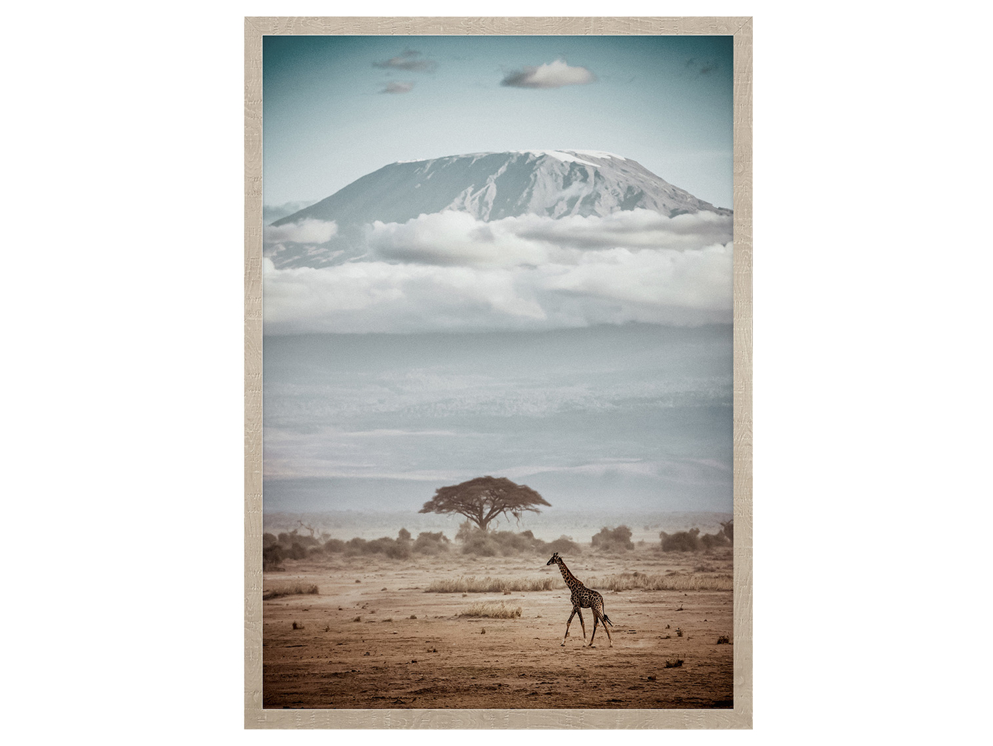 Obraz w ramie African View 53x73 cm