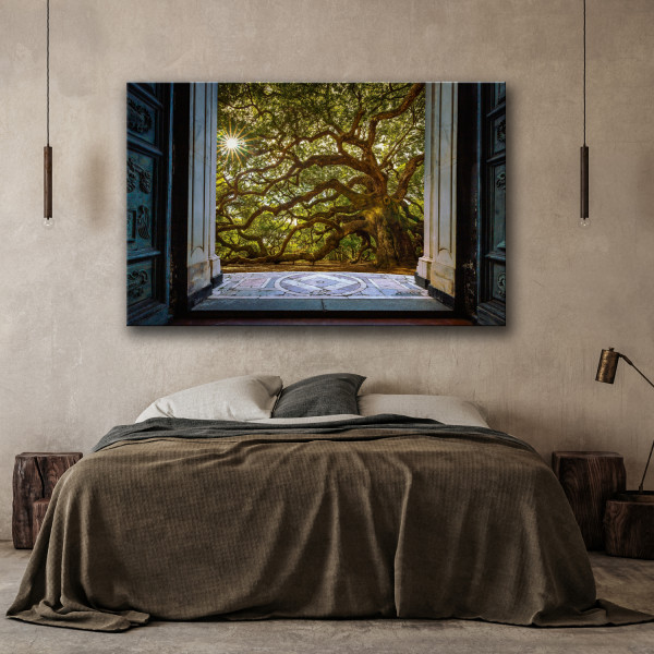 Feeby Obraz na płótnie, Widok na Drzewo Słońce Natura 60x40