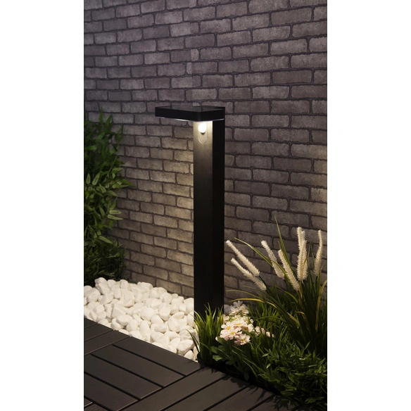 LED-Solarleuchte »Zayn«, H: 60 cm, 18x0,5 W, 400 lm, 3000 K, schwarz, mit Bewegungsmelder