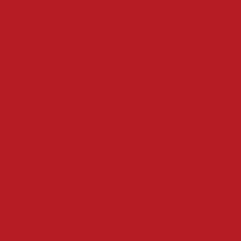 Peinture de marquage temporaire Brico rouge 0,4 L INVENTIV