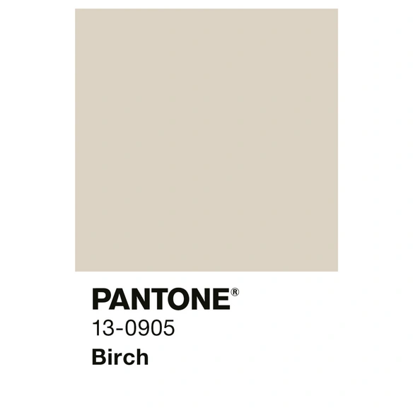 Wandfarbe »PANTONE«, Birch, matt, 5 l