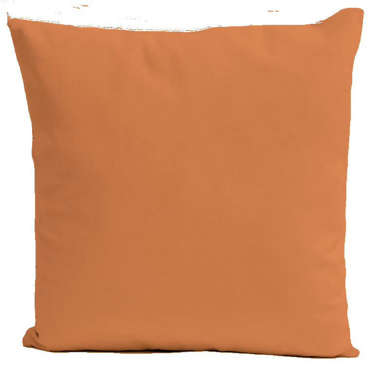 - Coussin uni velours rose saumon 40x40cm