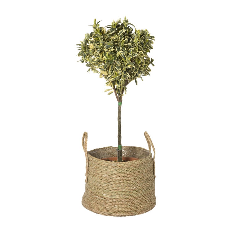 Bloempot Guus - &Oslash;40x29 cm