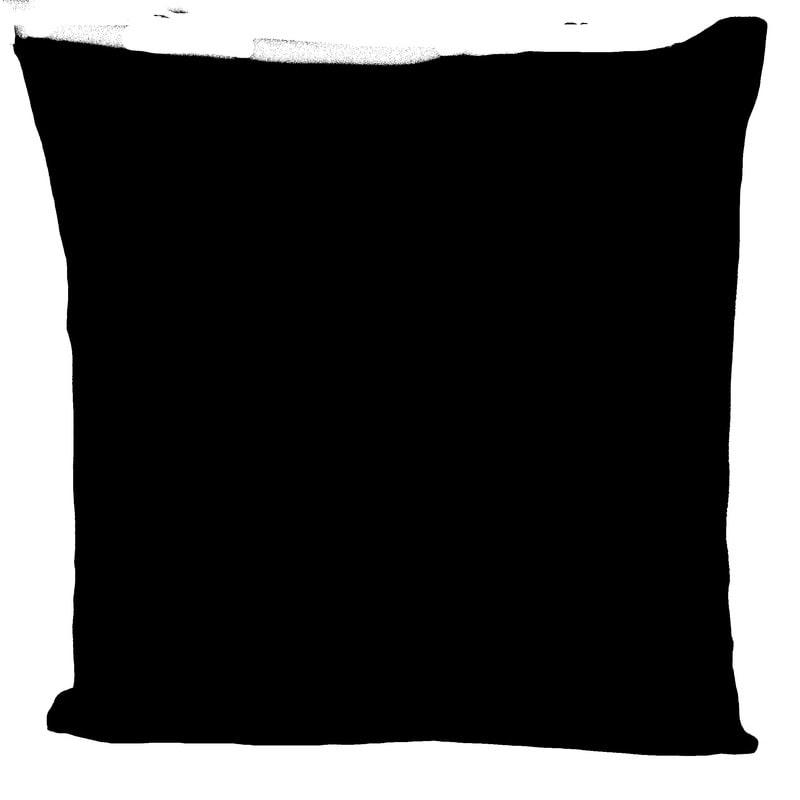 - Coussin uni velours noir 40x40cm