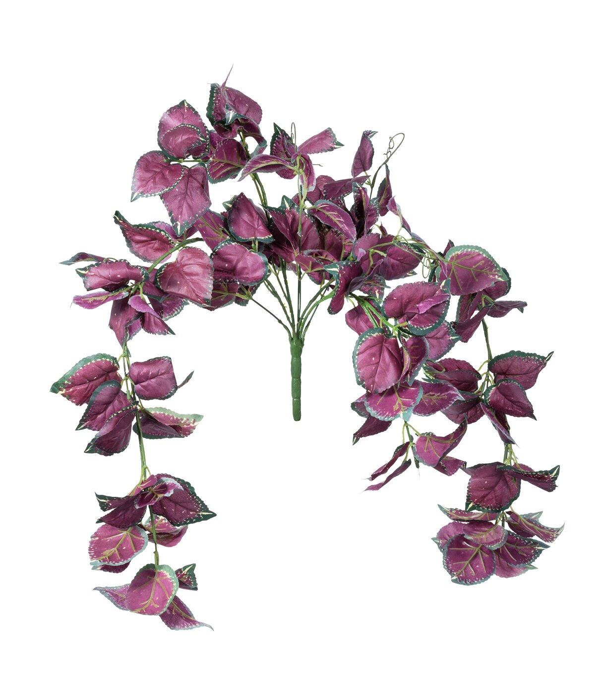 32 Hanging Perilla Frutescens Bush by Bloom Room