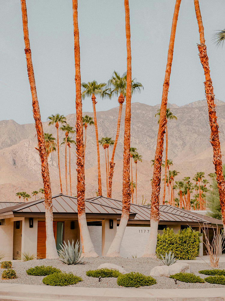 1177 - Photographie d'art d'Anthony Arbet 60x80 cm sur alu