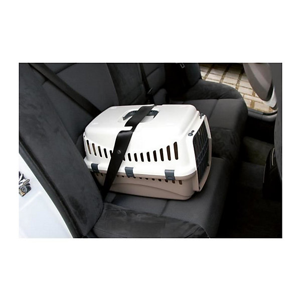 Box de transport Expedion (20%)