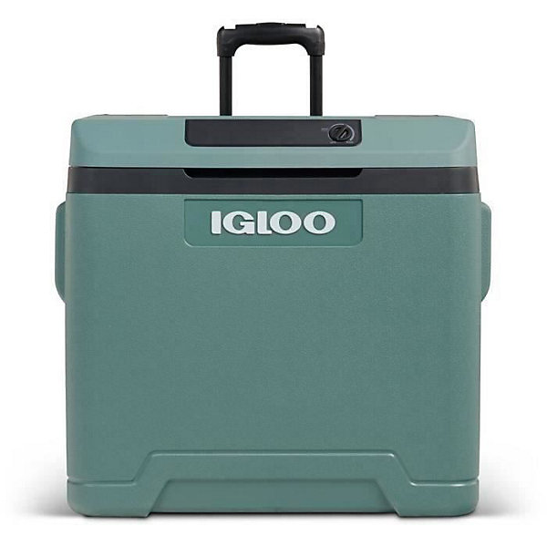 Glacière électrique Igloo 42 L Spruce 12V 230V avec roulettes et poignée trolley