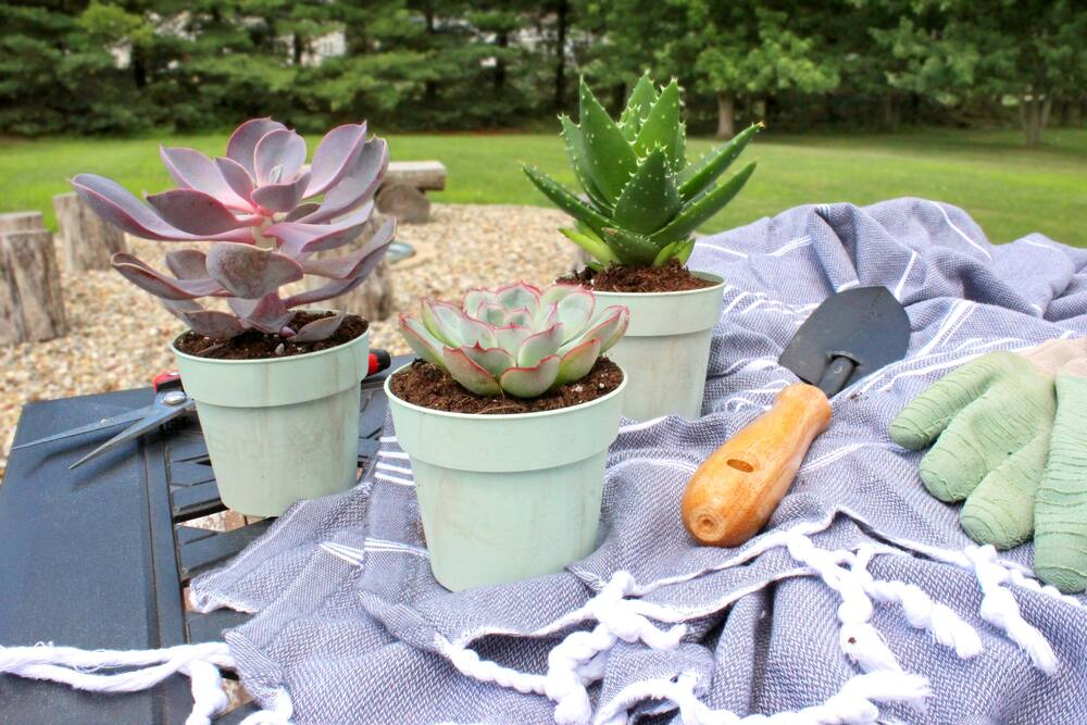 Planter's Pride Round Biodegradable Grow Plant Pot, Recyclable, 4.5-in, 6-pk