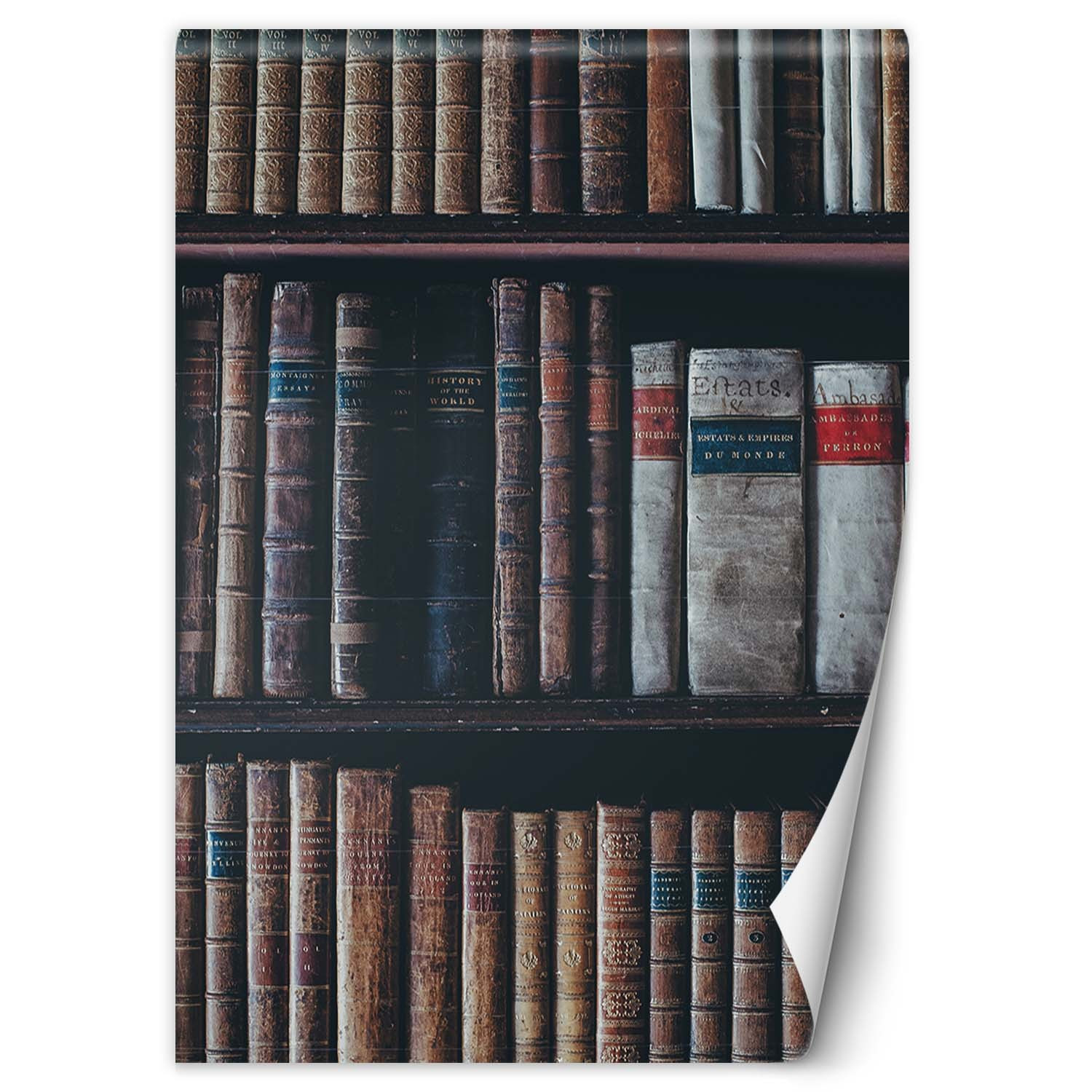Feeby Fototapeta, Biblioteka książki 100x140