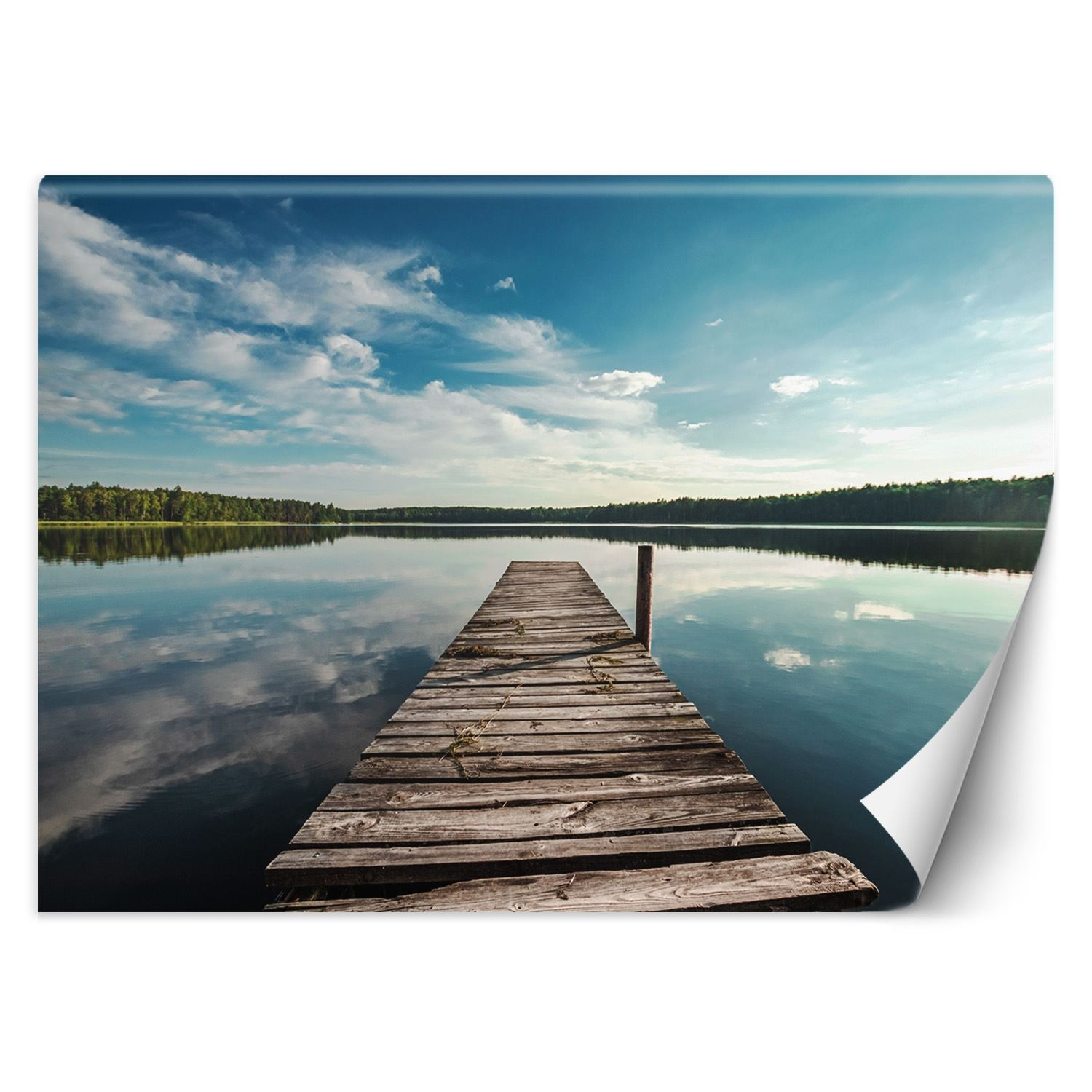 Feeby Fototapeta, Widok z pomostu na jezioro i las 150x105