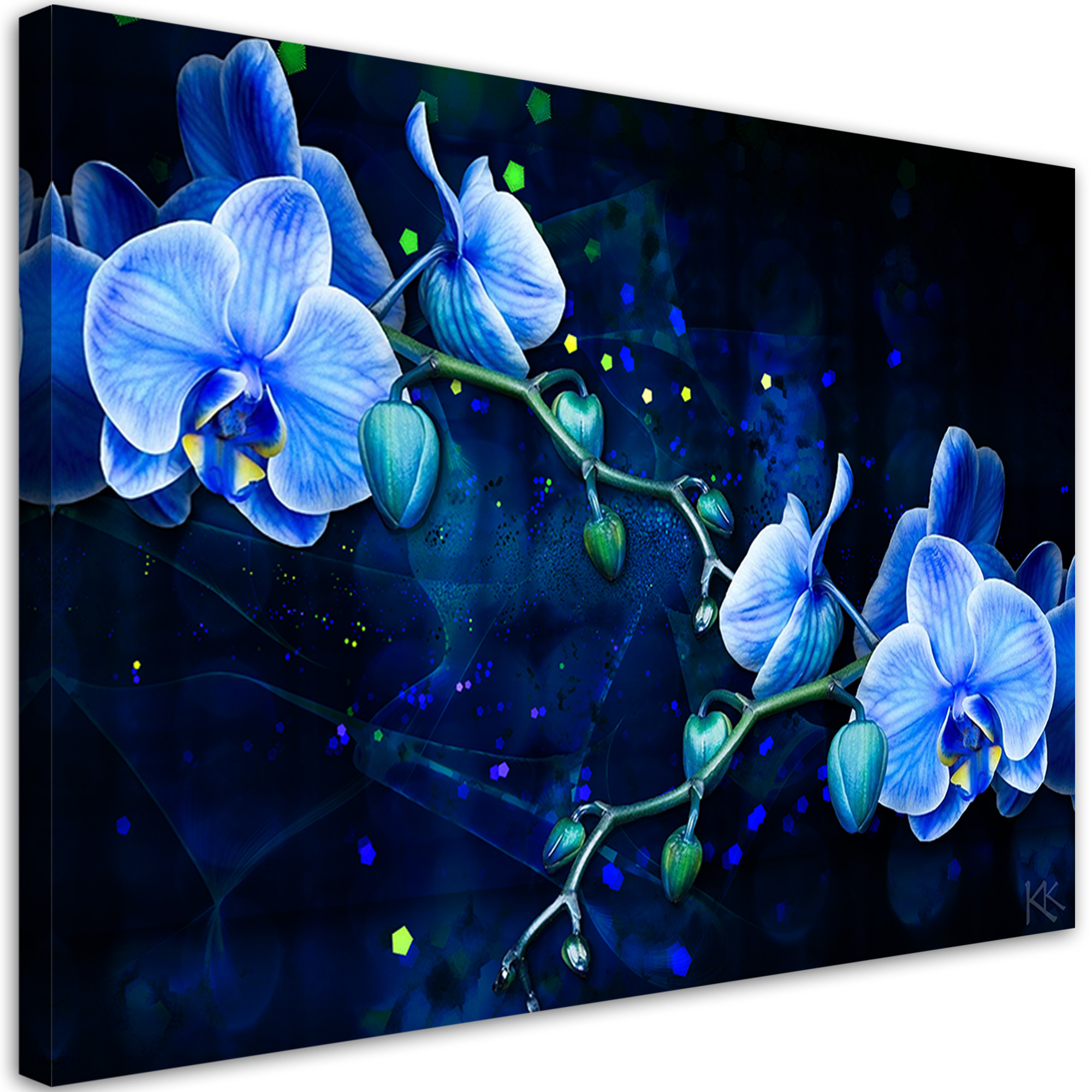 Feeby Obraz na płótnie, Niebieski kwiat orchidei 60x40