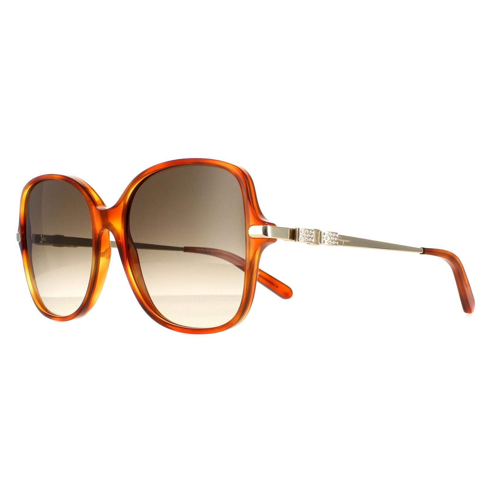Salvatore Ferragamo Square Tortoise Grey Gradient SF990SR