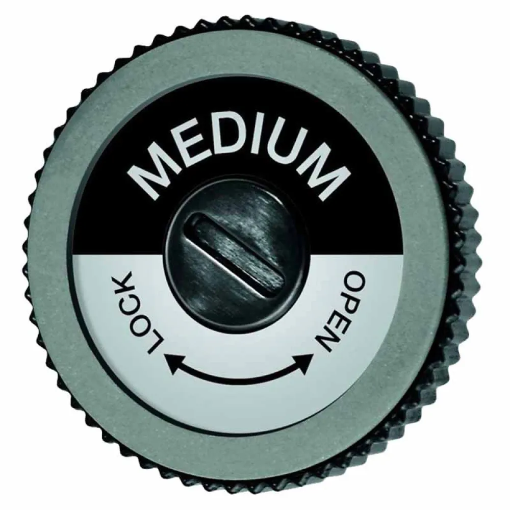 Swix TA3013M EVO Spare Medium Disc