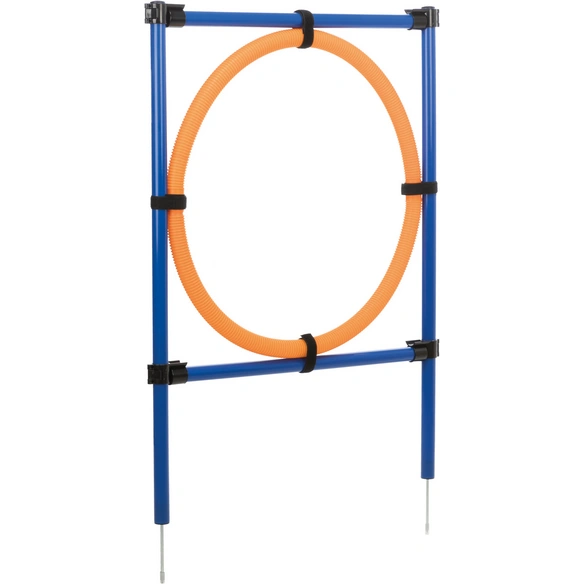 Agility Ausrüstung, Agility Ring, 115 x 3 x 65 cm, blau/orange
