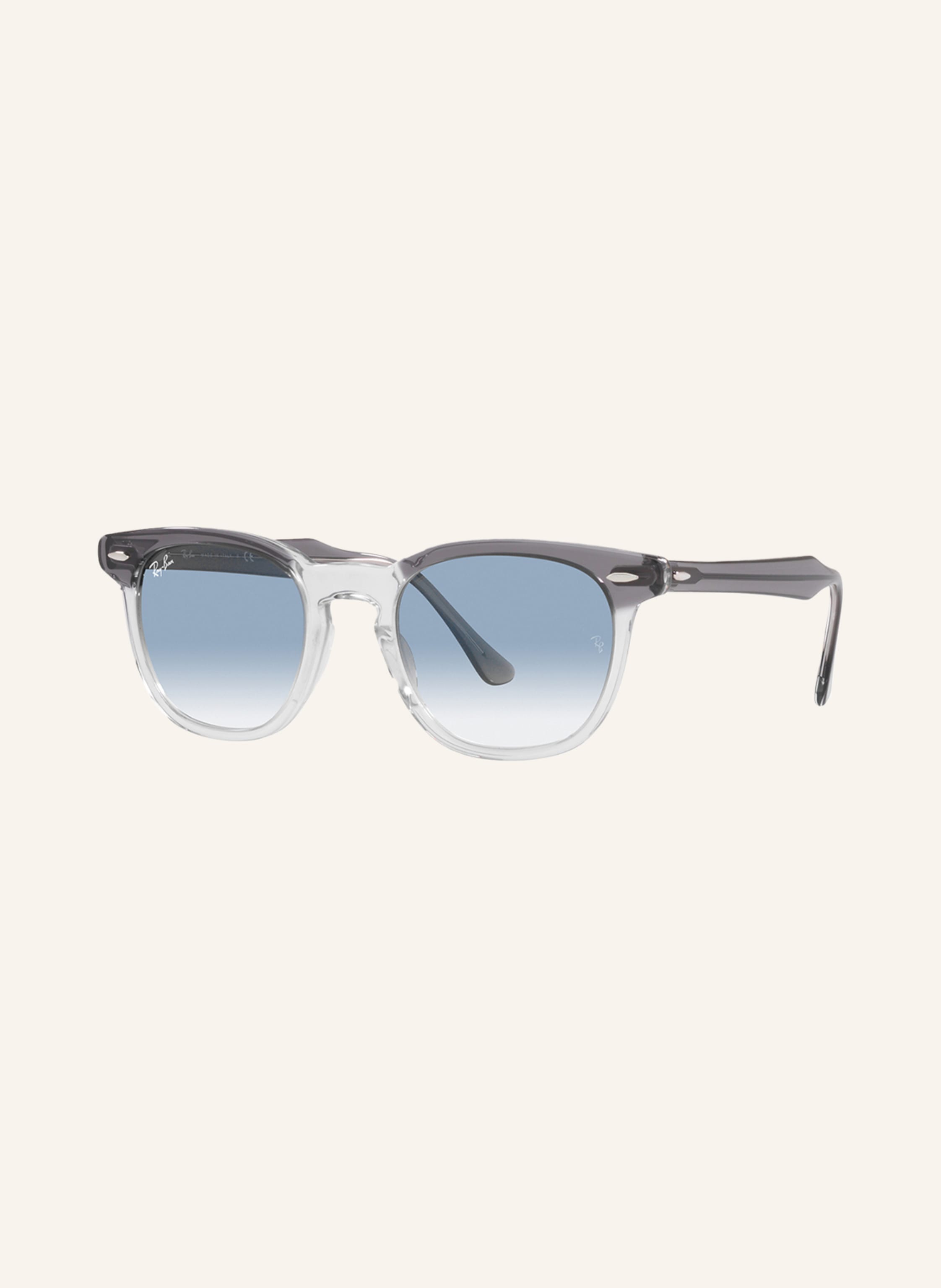 Ray-Ban Sonnenbrille RB2298