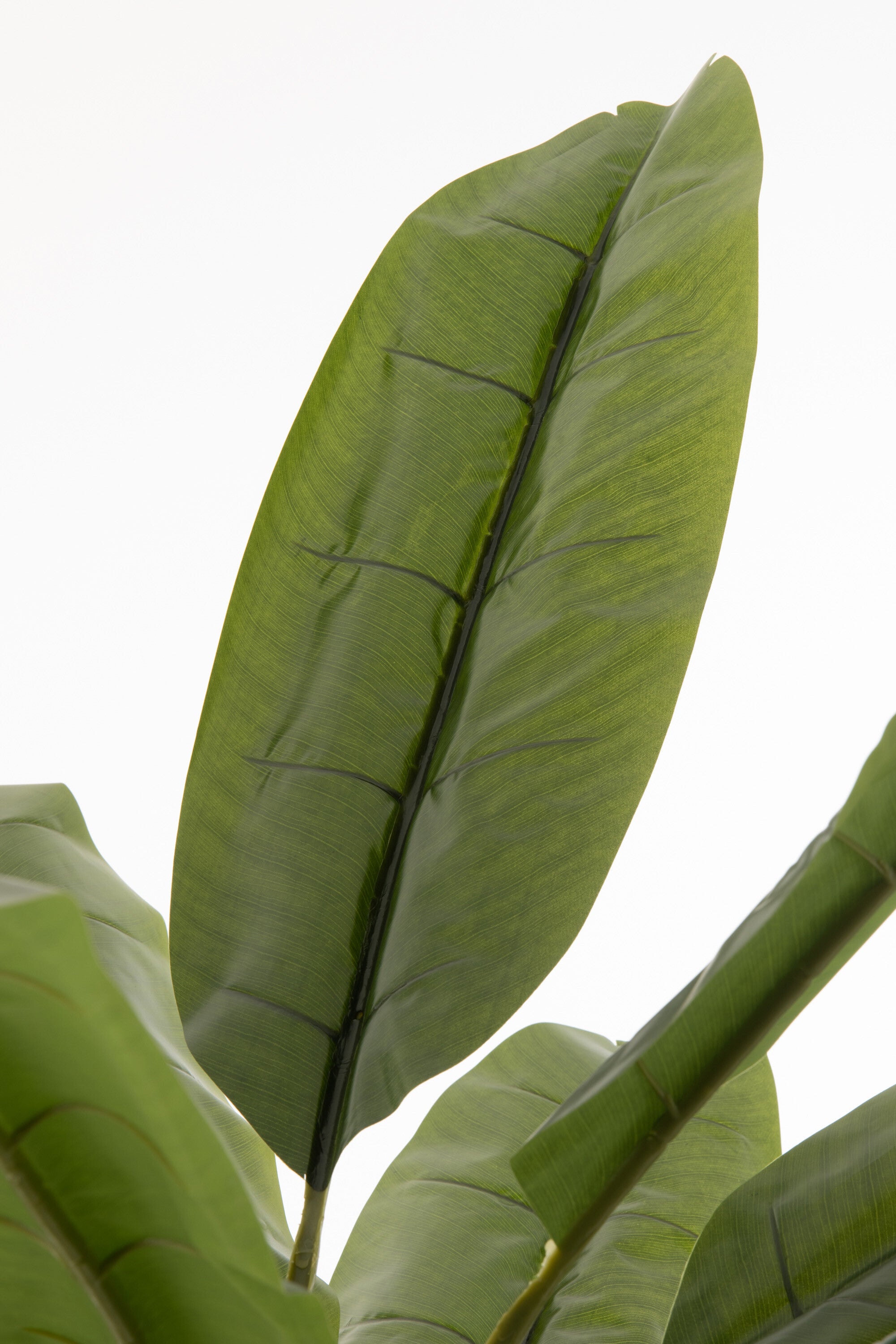 J-Line Vioolbladplant - kunststof - groen