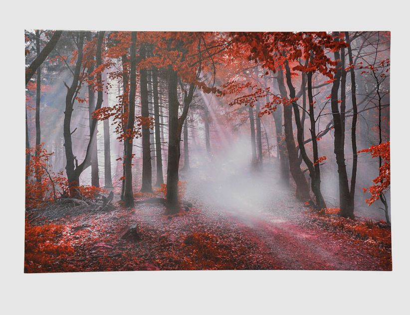 Bild Autumn II