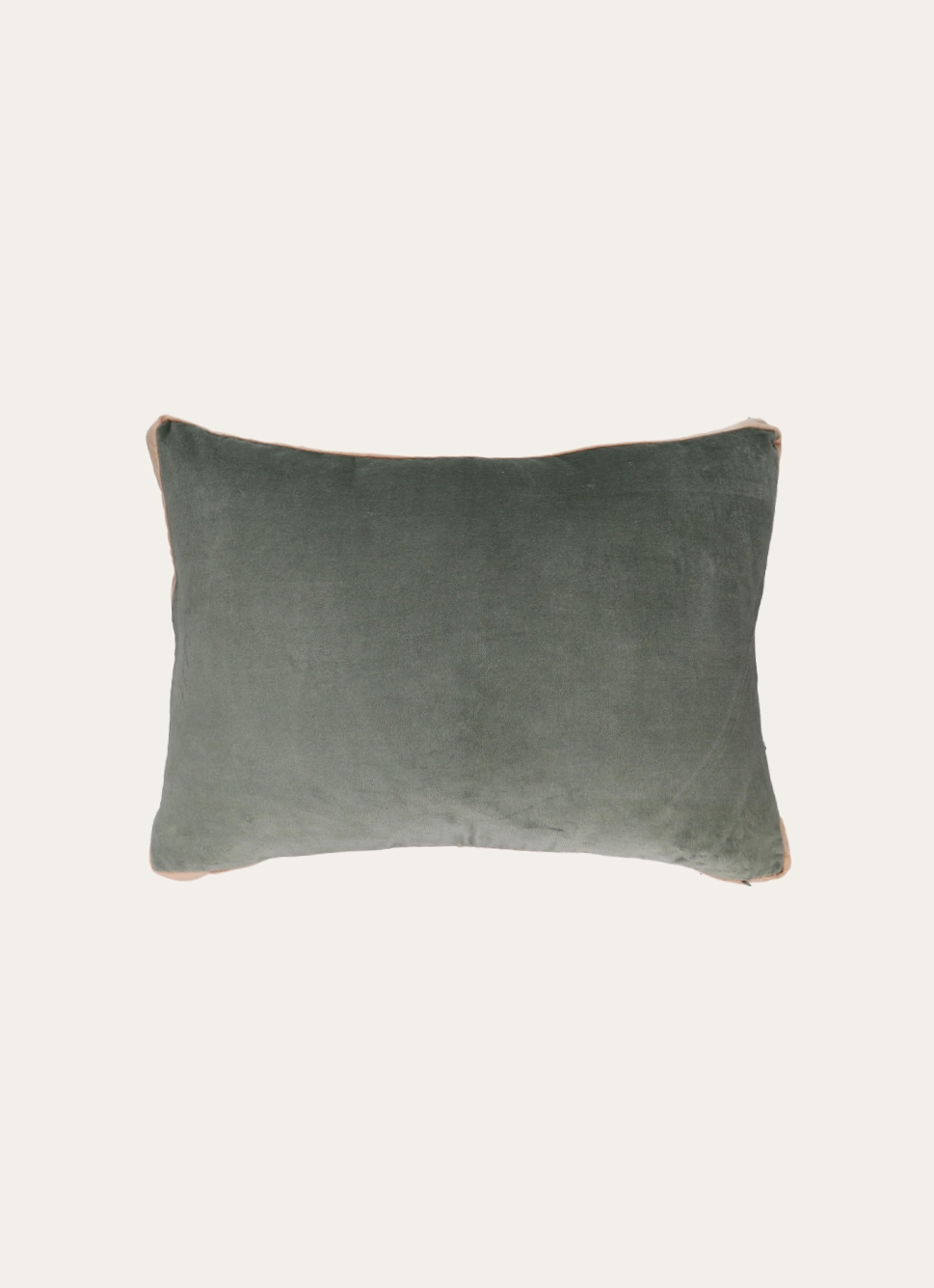 COUSSIN EN VELOURS RANG vert