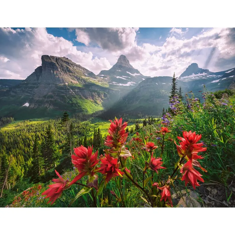 Puzzle Pristine Mountains