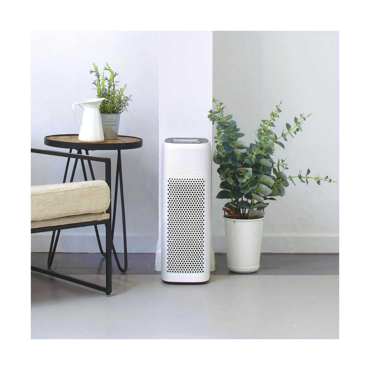 - Purificateur d'air