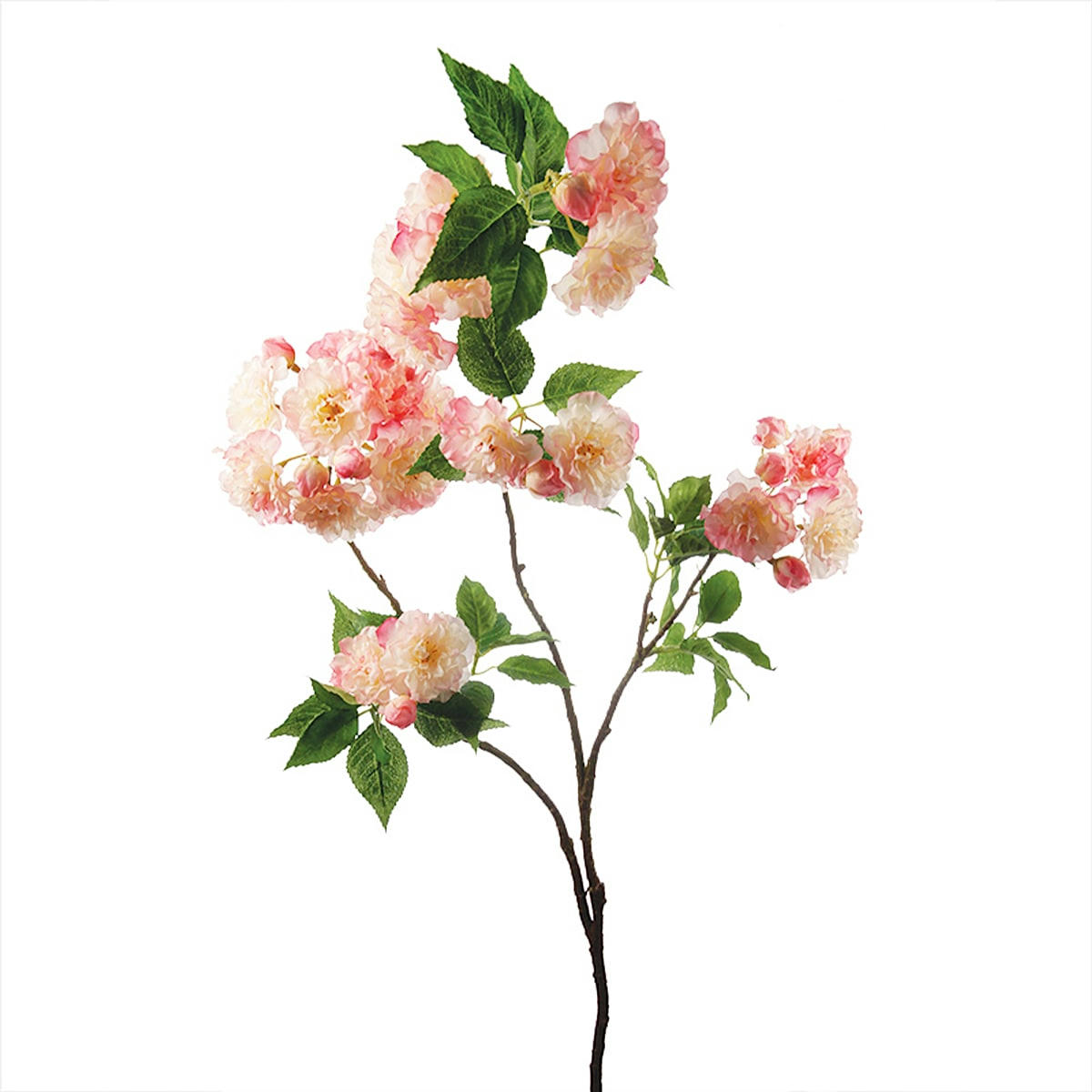 MOON - Fleurs de cerisier H96