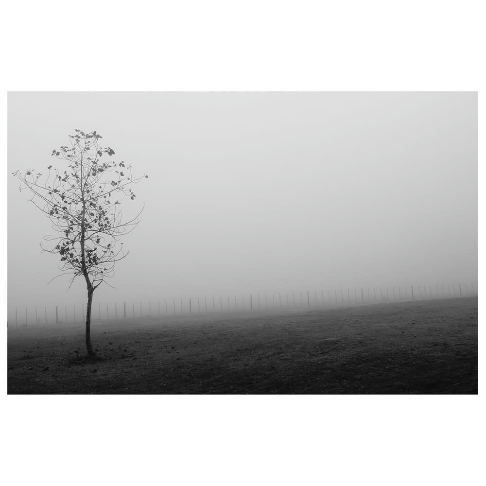 - Tableau impression sur toile le brouillard 60x90cm