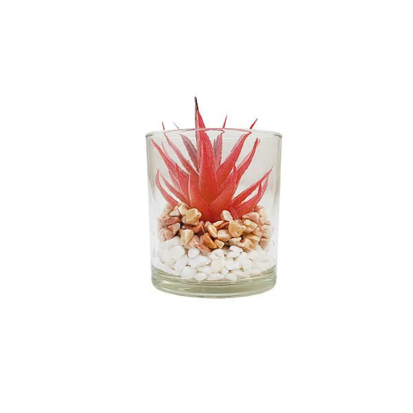 Plant In Glass Pot 10cm