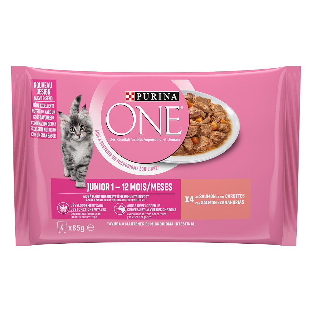 PURINA ONE Junior