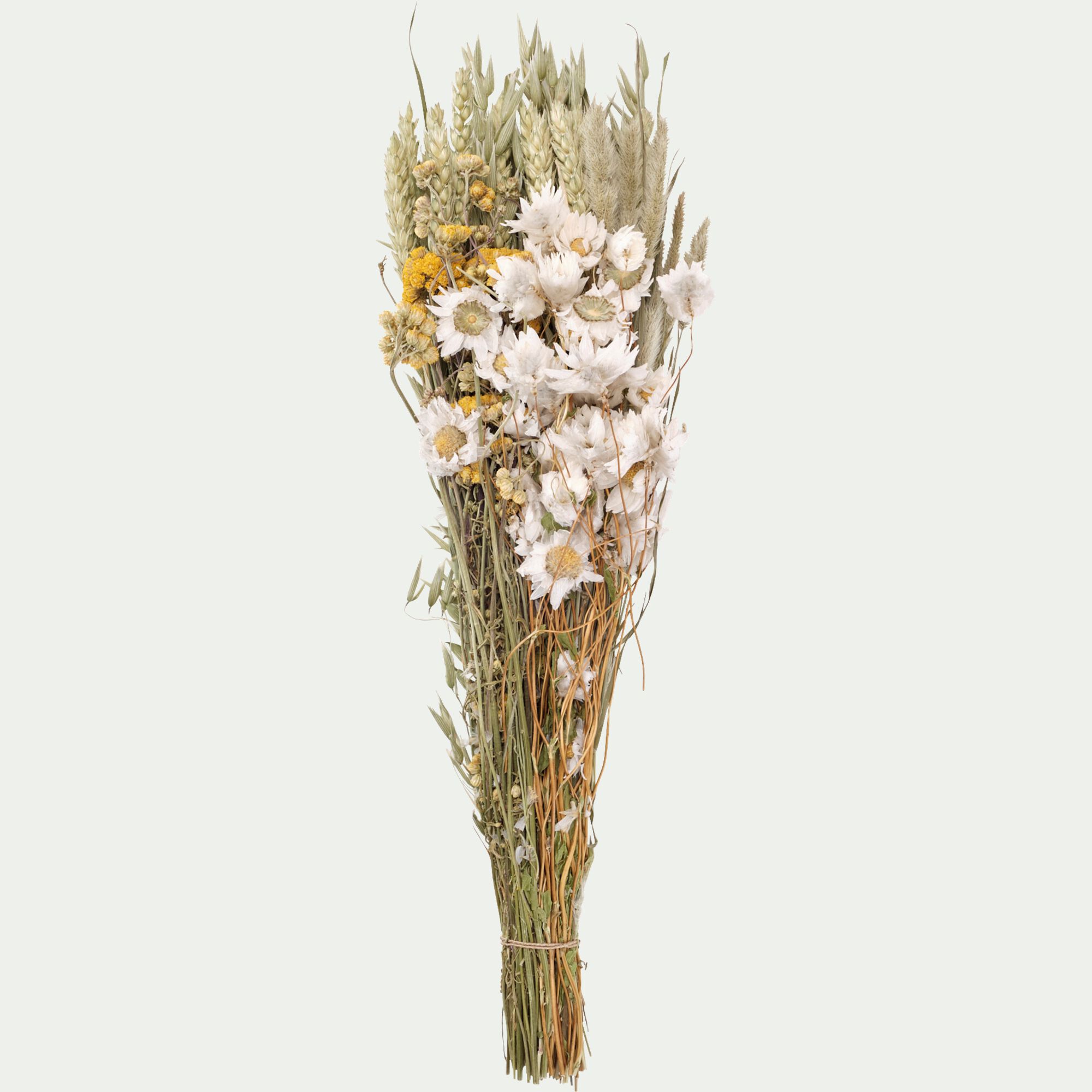 FLORALIE - Bouquet de fleurs séchées 35cm - jaune