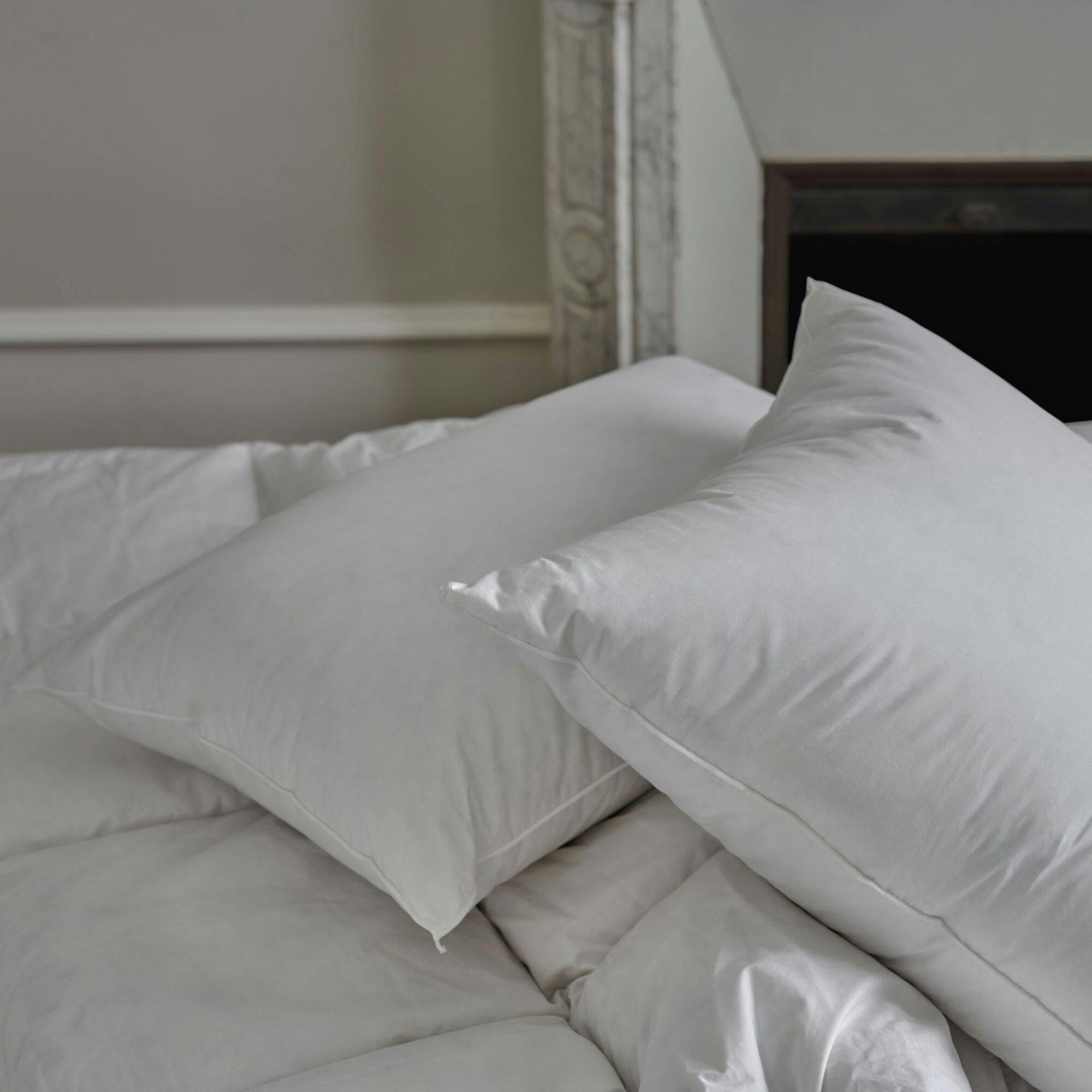 CARLA - Oreiller Moelleux en Coton 60 x 60 cm