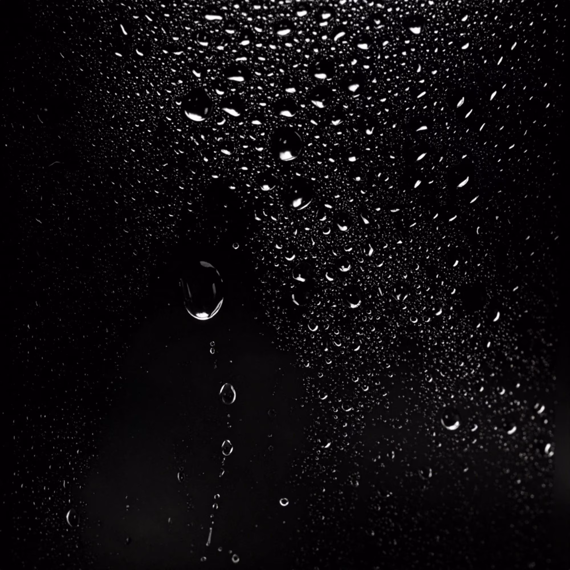 DARK OILBrume capillaire soyeuse