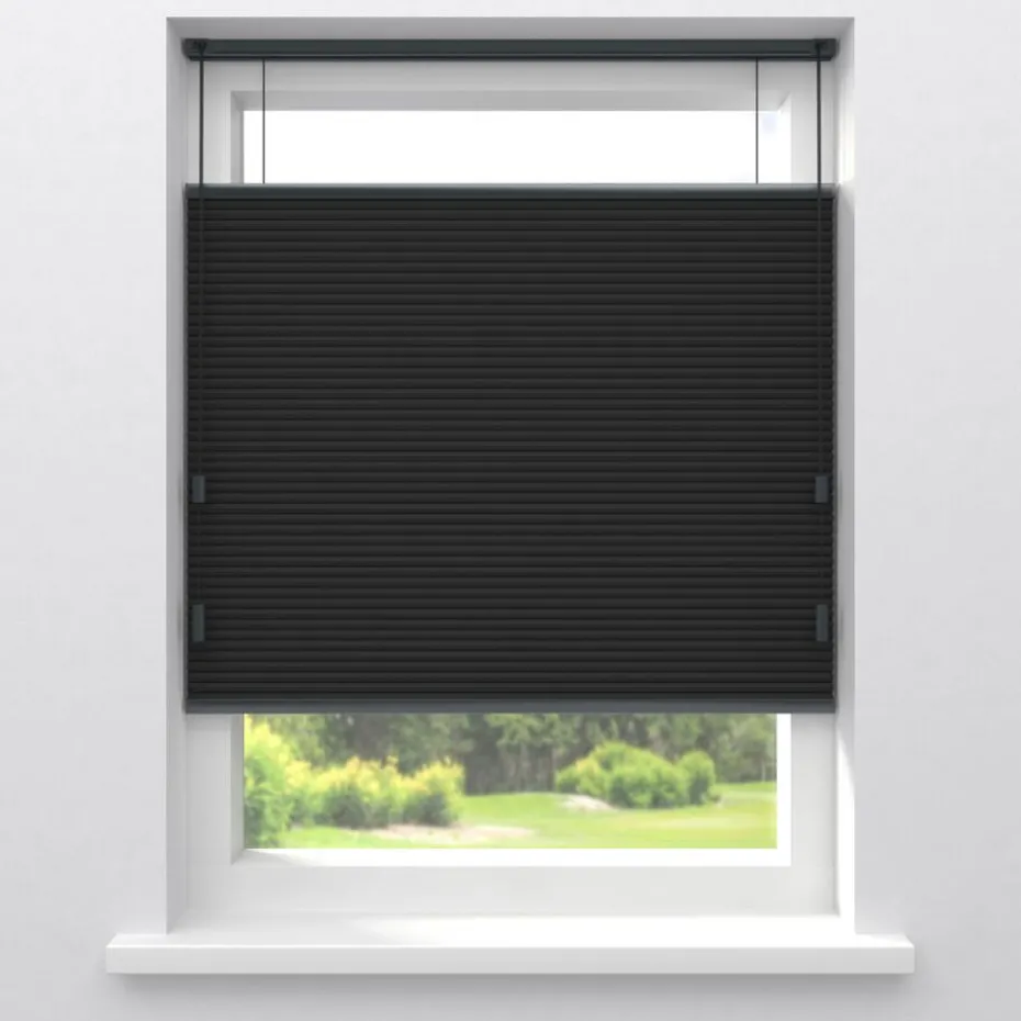 Kwantum Plisségordijnen | Isolerende Gordijnen | Fenstr Dubbel Plissé Thirza  Verduisterend Zwart