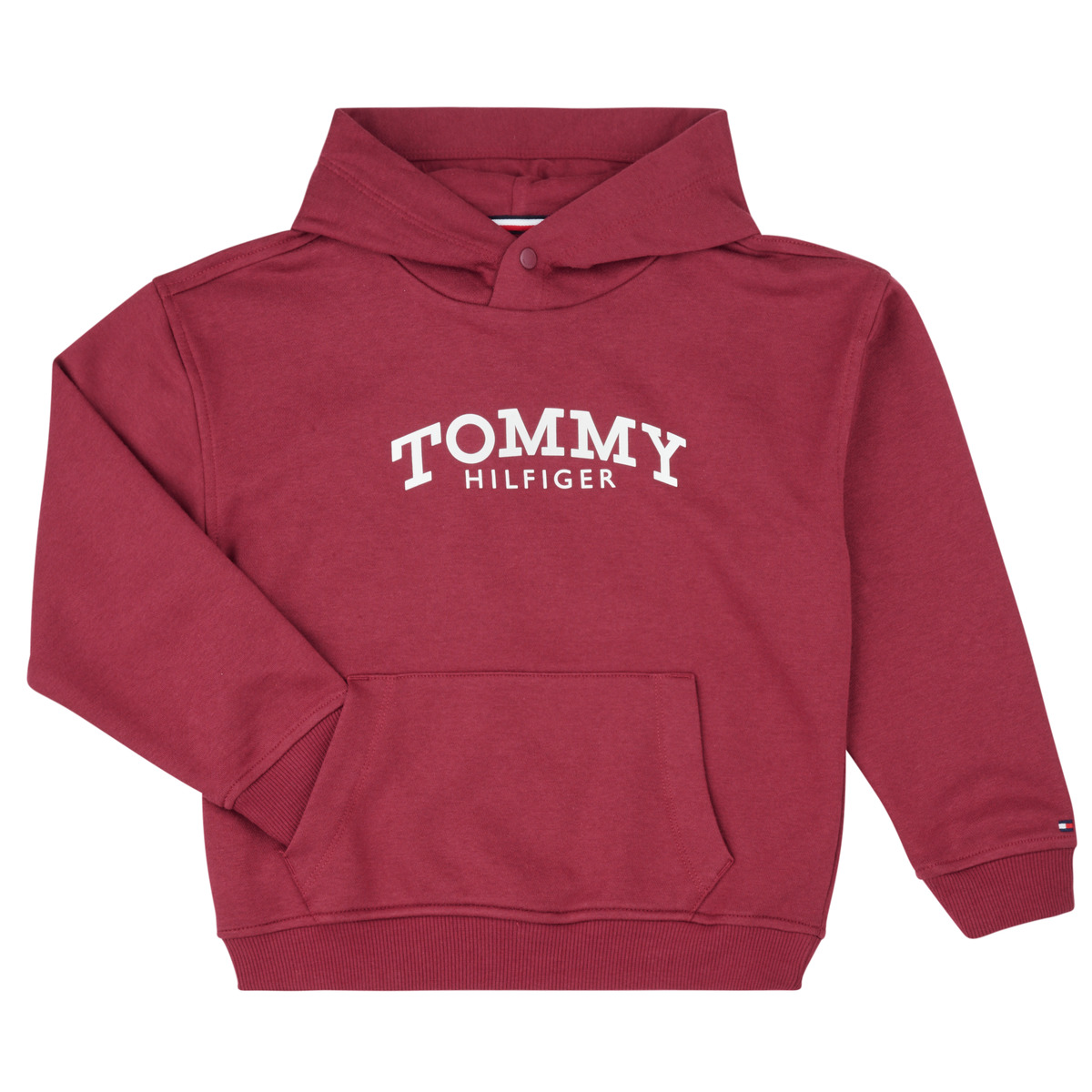 Tommy Hilfiger - MONOTYPE PRINT HOODIE - Bordeaux