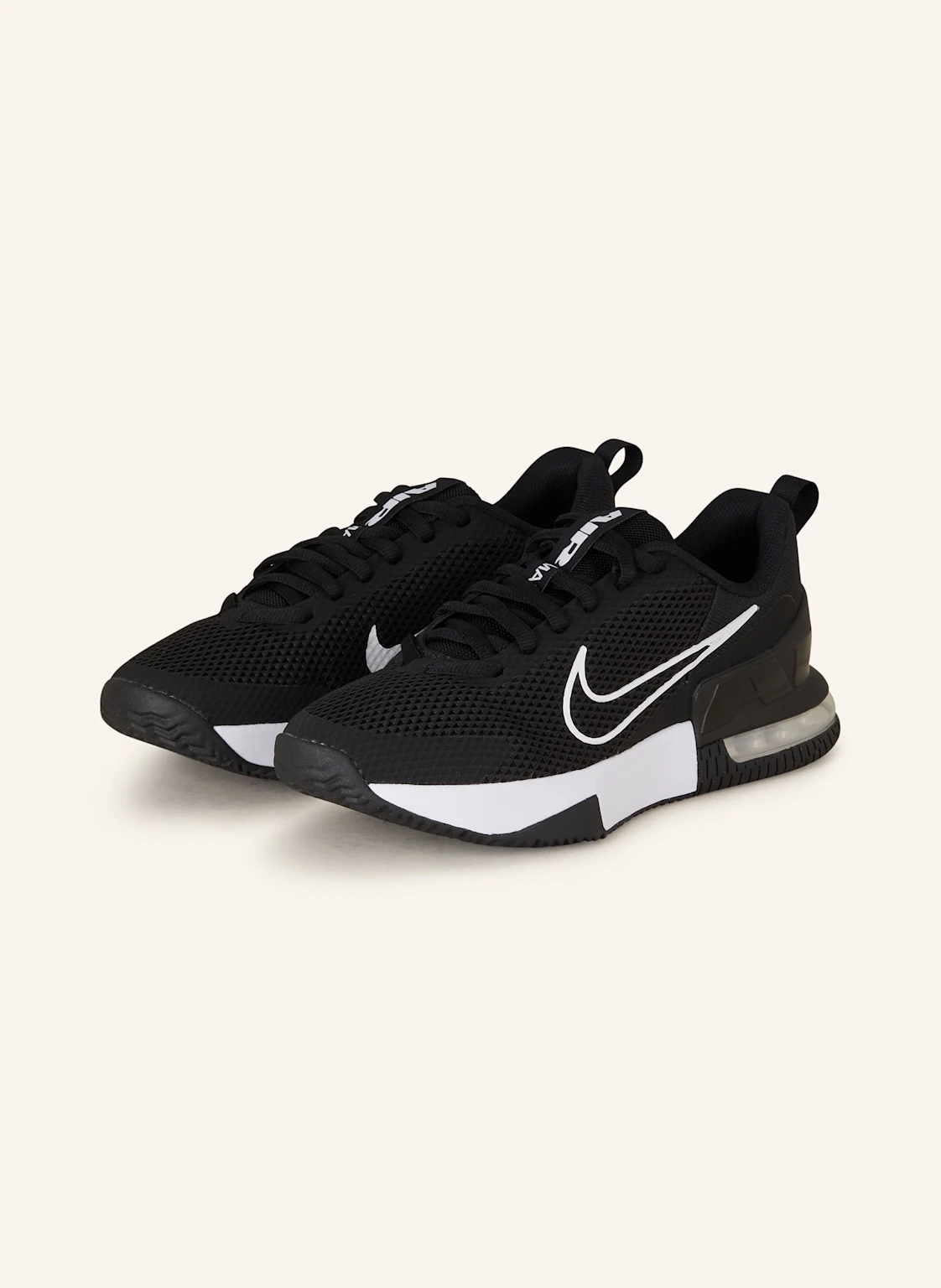 Nike Fitnessschuhe AIR MAX ALPHA TRAINER 6