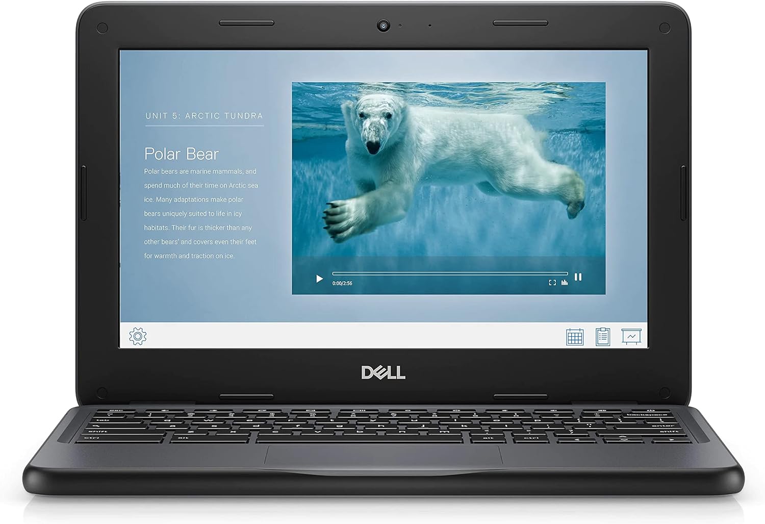 Dell Chromebook 11 3100 11.6 Touchscreen Chromebook - HD - 1366 x 768 - Celeron - 4GB RAM - 32GB Flash Memory, Black (Renewed)