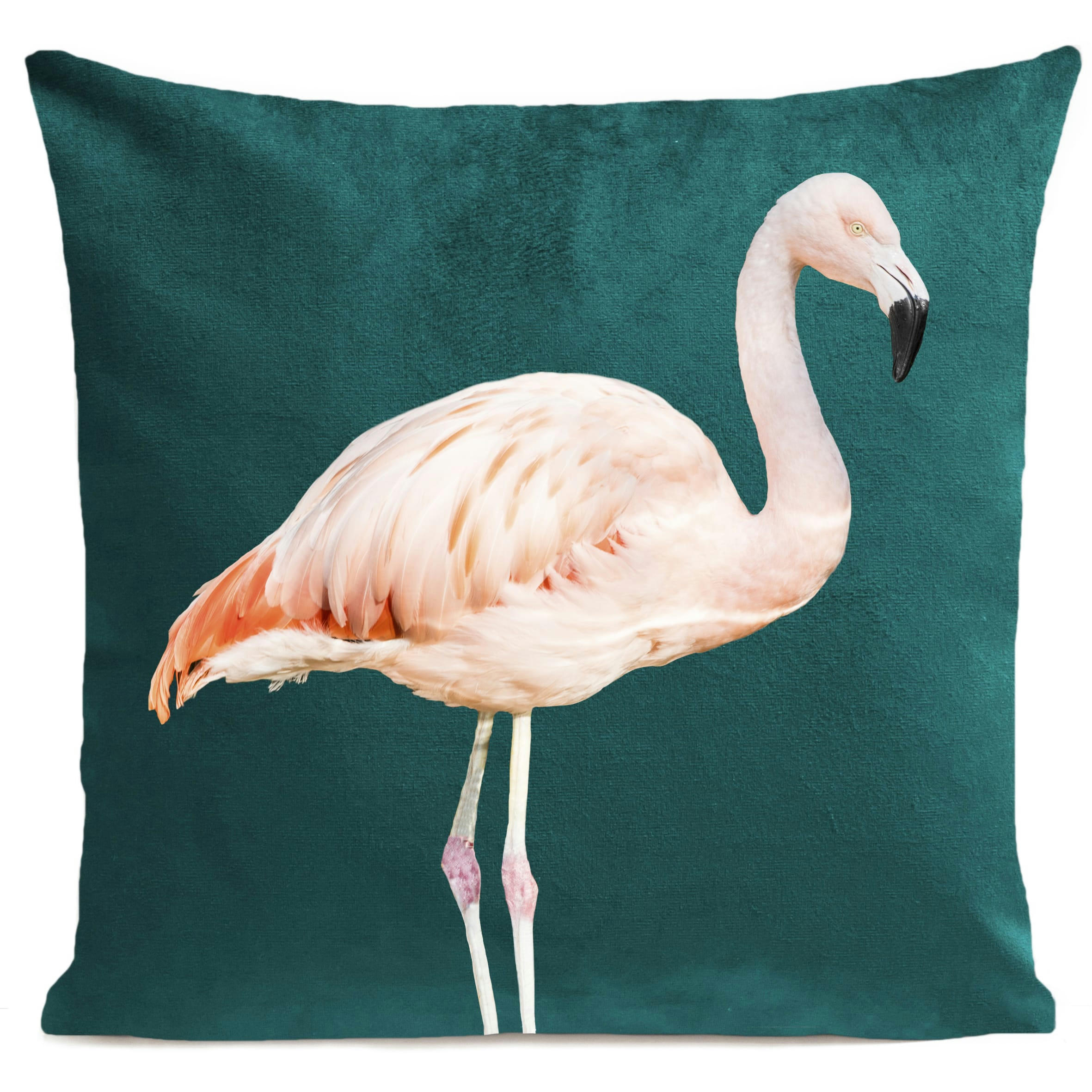 - Coussin déco velours vert 40x40cm
