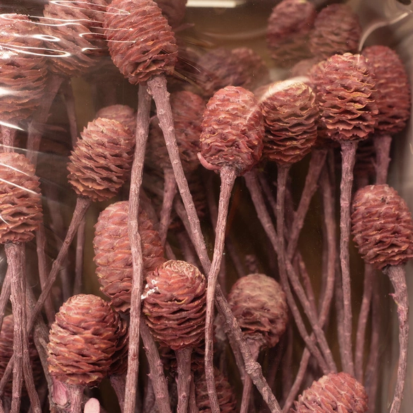 Trockenblumen