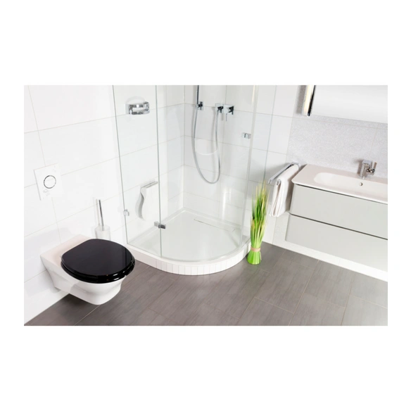 WC-Sitz, BxL: 37,7 x 47 cm, Schwarz