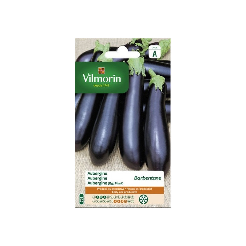 Semences d'aubergine Barbentane VILMORIN